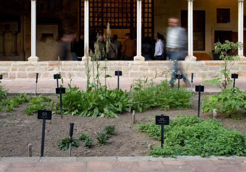 El jardí medieval del monestir de Pedralbes