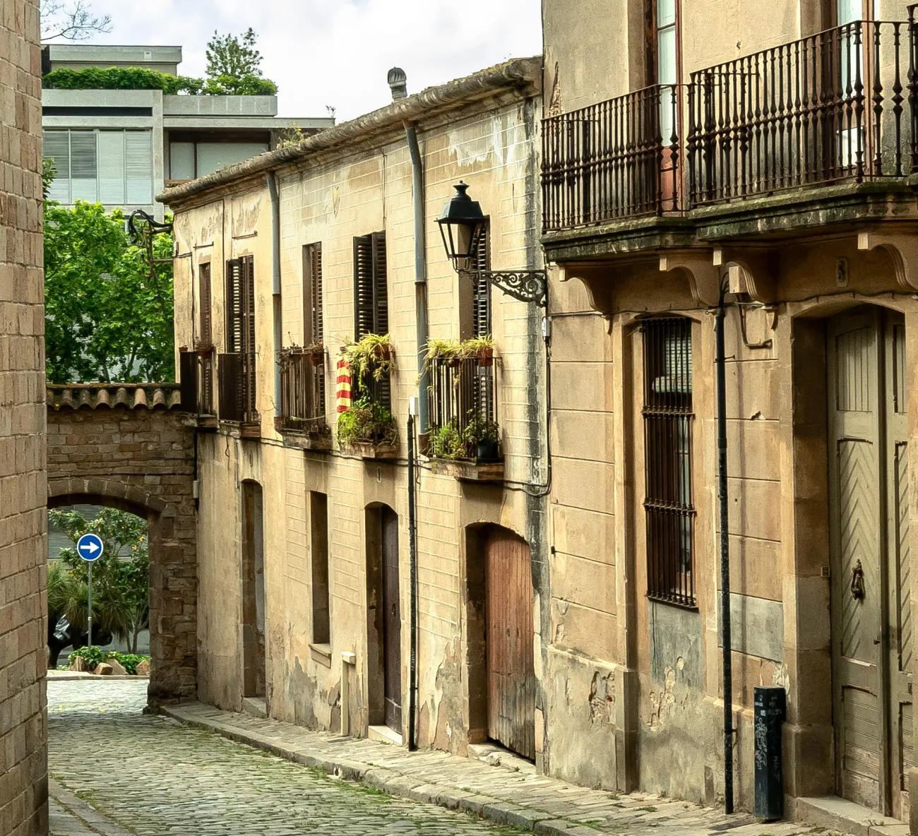 Seglars destacada