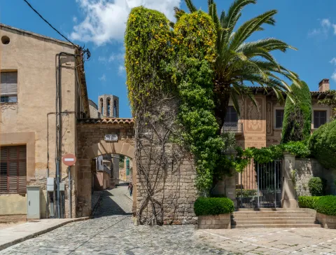 La gran reforma en época de Antoni Batlló (1942-1959)